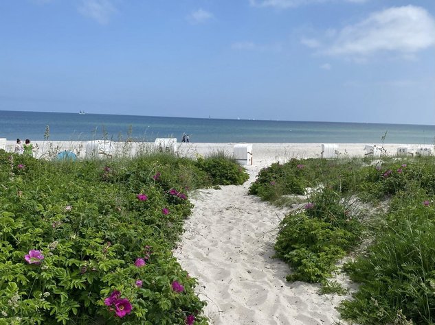 Strand Geltinger Bucht Ostsee