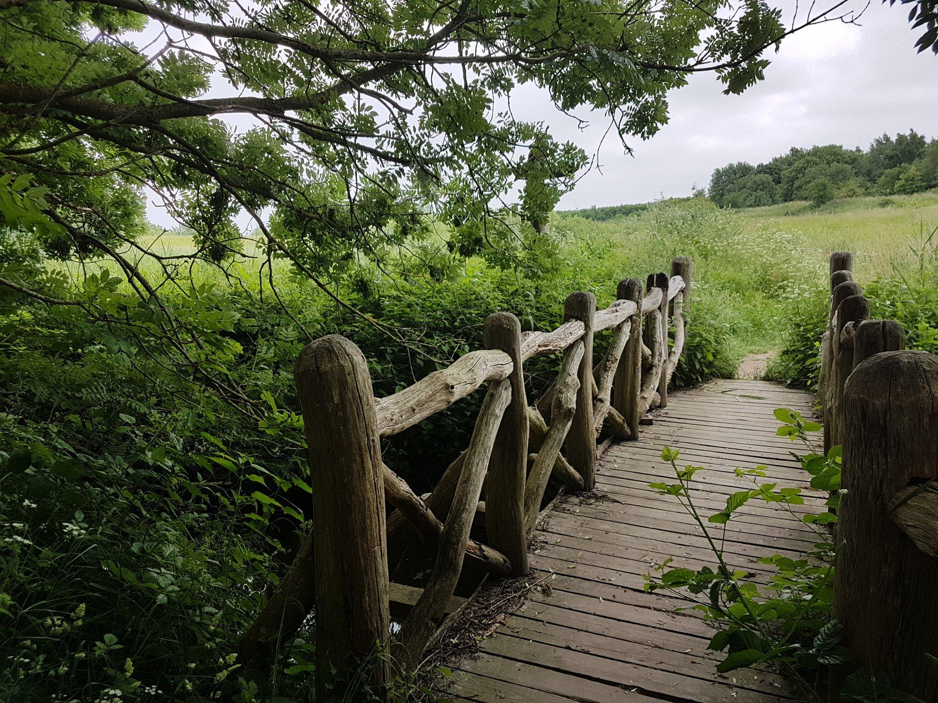 Wandern auf der Geltinger Birk